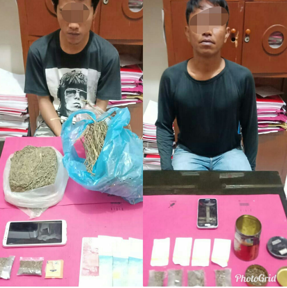 Satres Narkoba Tangkap 2 Pengedar Ganja di Desa Kualu
